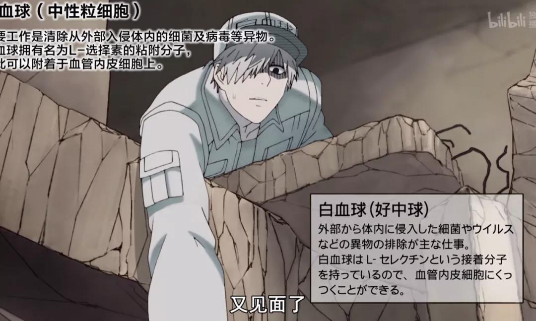 b站96分这部被人民日报点赞表扬的科普动画为什么值得孩子看