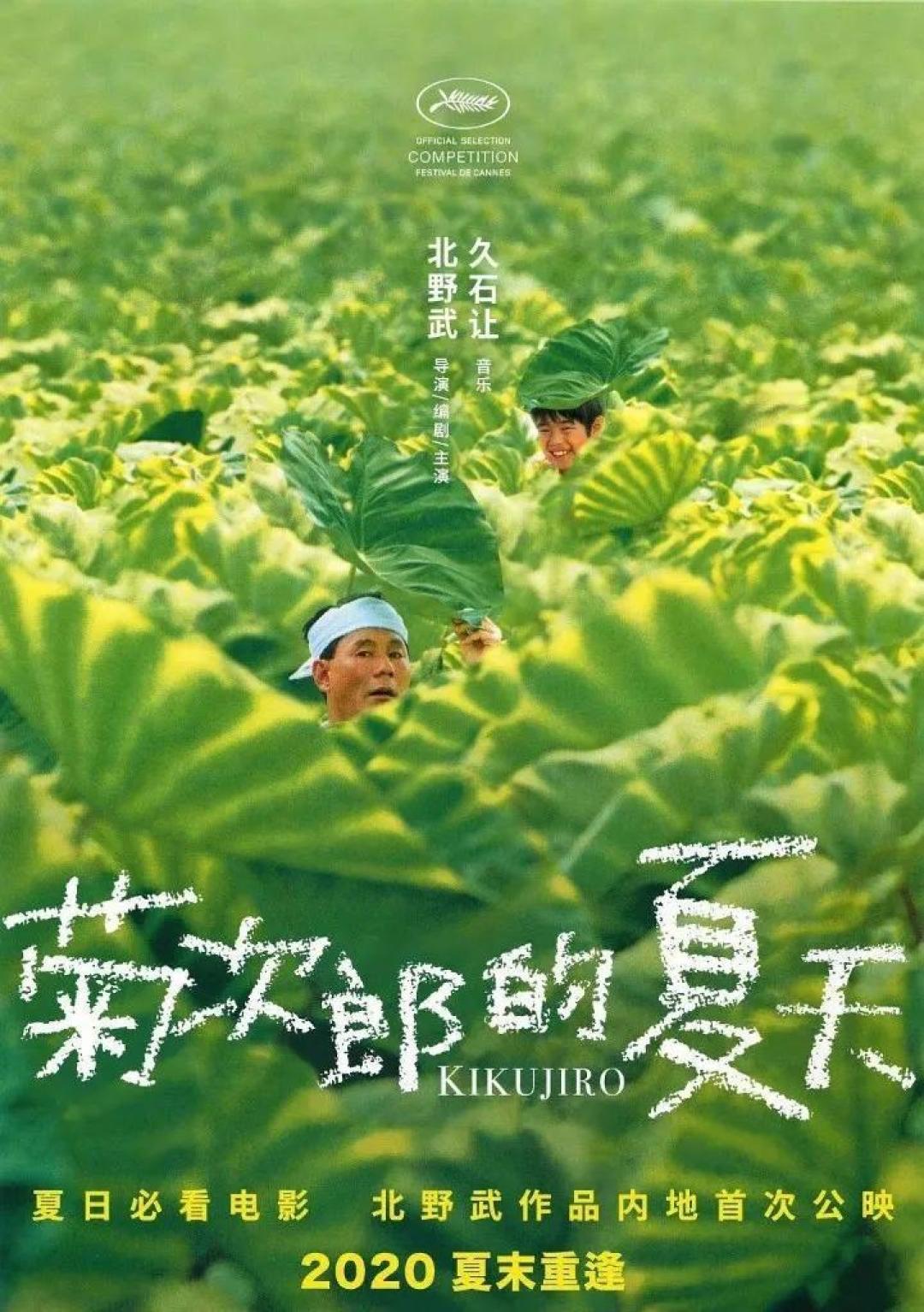 9月片单炸裂,《信条》你打算看几遍?