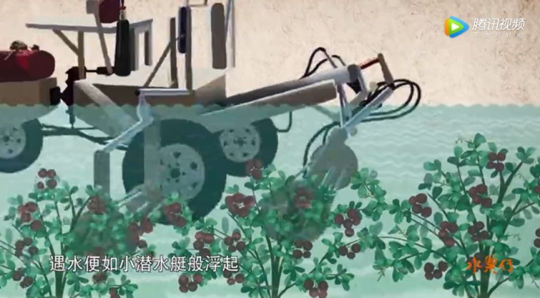 纪录片常见,关于水果的纪录片你看过吗!千万别错过这部为孩子量身打造的科普纪录片