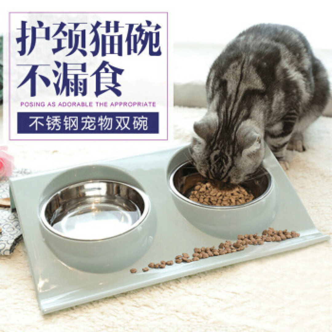 新手养猫需要买点什么?