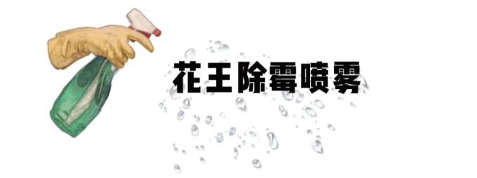 9 款无限回购的清洁剂！有了它们还请什么保洁阿姨？