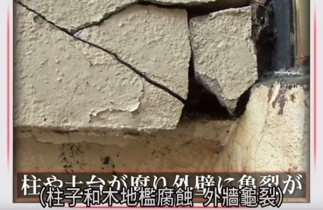 日本一家六口人挤19㎡小屋!设计师改造后多出7个空间!这才是高级收纳!