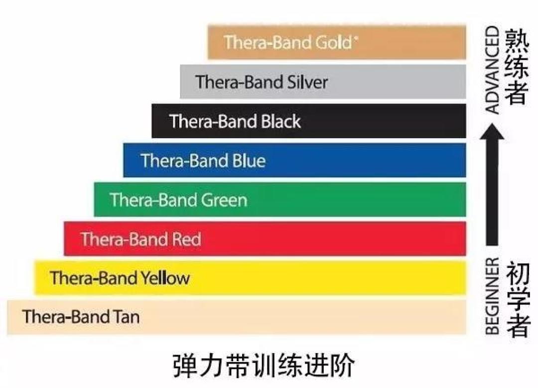 害怕越练越伤?适合女生的塑形帮手,一根弹力带让你瘦遍全身!