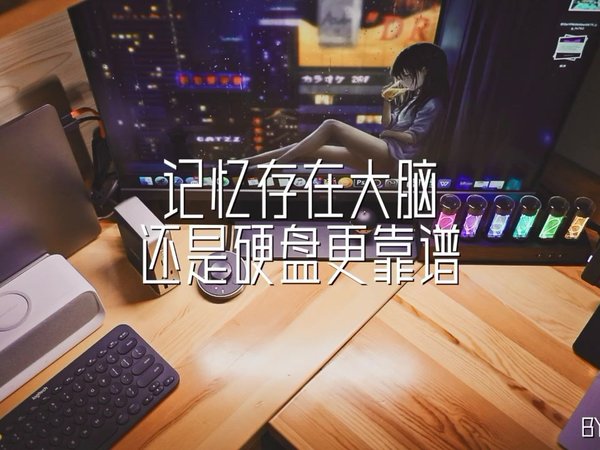 记忆存在大脑还是硬盘中靠谱一些