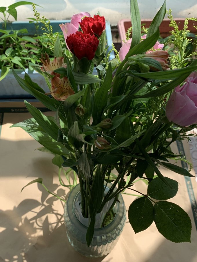 鲜花绿植