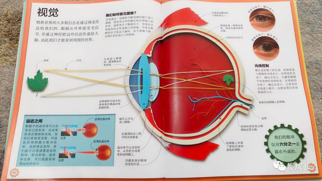 天哪！还没上小学我家孩子已经近视了,总结近视成因、矫正方法...