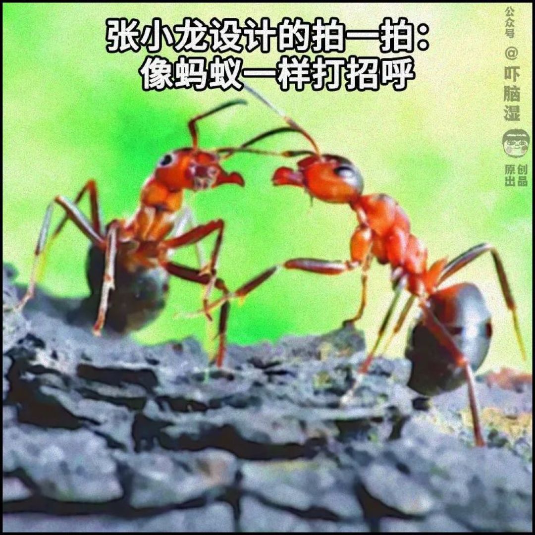 职场翻车的15个名场面 ，我希望你没有遇到过……