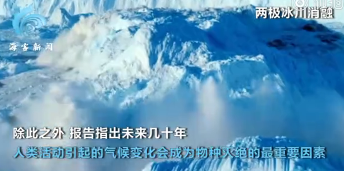 人类50年间消灭世界三分之二动植物······