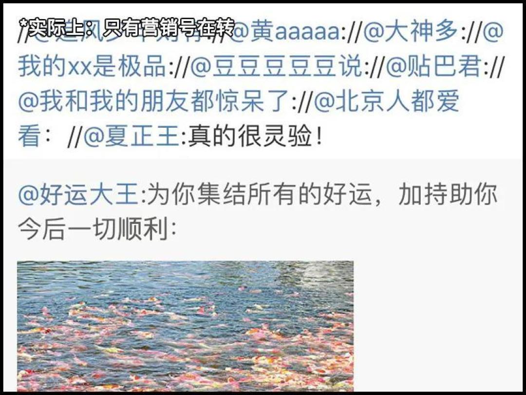 你必须学会:如何有效制服一个杠精?
