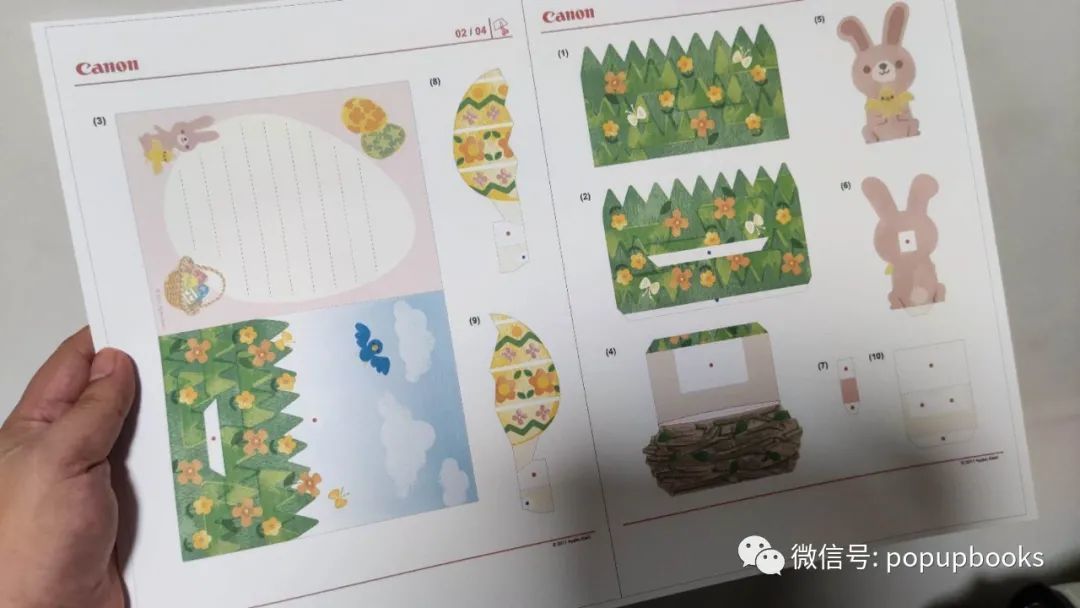 每周制作 | 彩蛋中的小兔子 立体卡