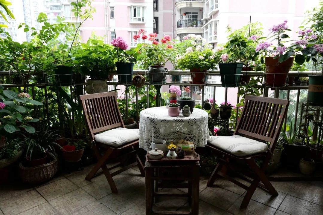 如何打造阳台花园?我拿到参考答案了