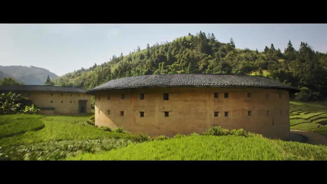 《花木兰》为什么没能赢得国内观众的认可?