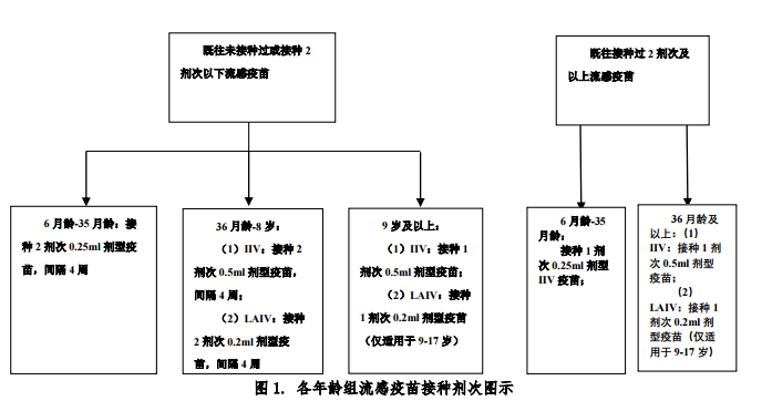 这两种疫苗最好在开学前后 1-2周接种！疫苗新变化、最全接种指南都在这了