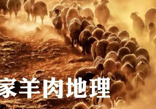 国家羊肉地理