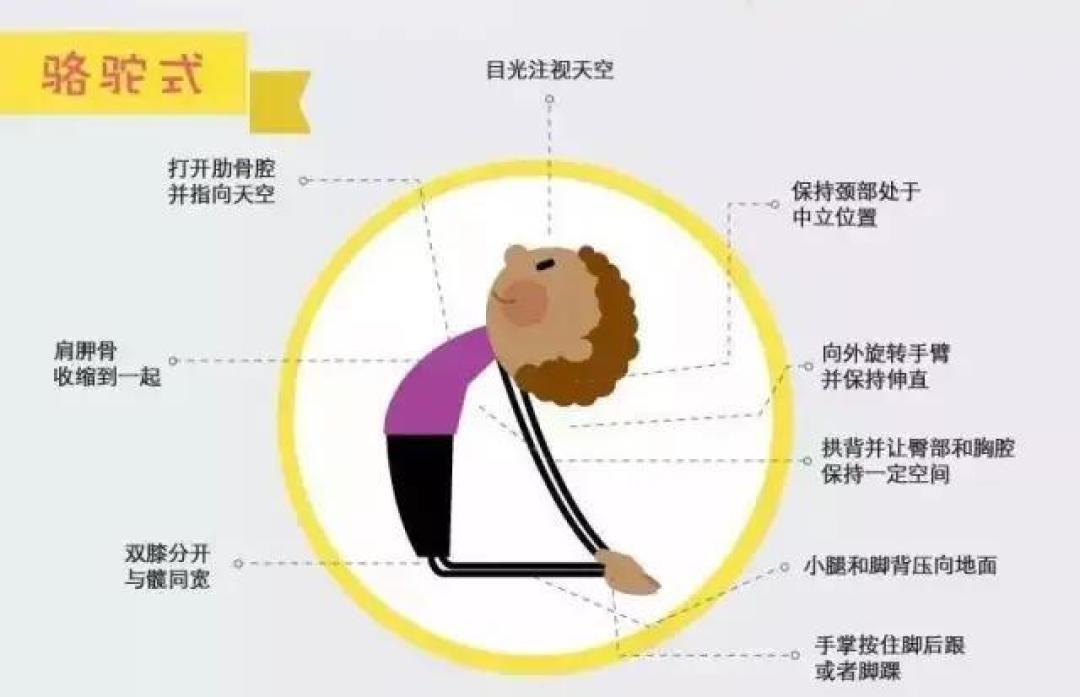 孙俪姚晨推荐的亲子瑜伽，跟着动物模仿这7个动作就足够了