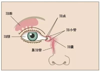 电子产品对宝宝的视力影响有多大？看完这组数据就知道了