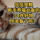 新手养猫必备的32件好物， 你准备了吗？