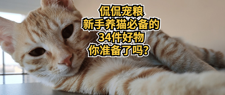 新手养猫攻略 养猫需要准备的32件猫咪用品 什么值得买