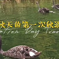 上海周边游 篇五十二：秋天里徐家汇公园看黑天鹅和小桥流水（隐藏在高楼大厦闹市区的悠闲好去处）
