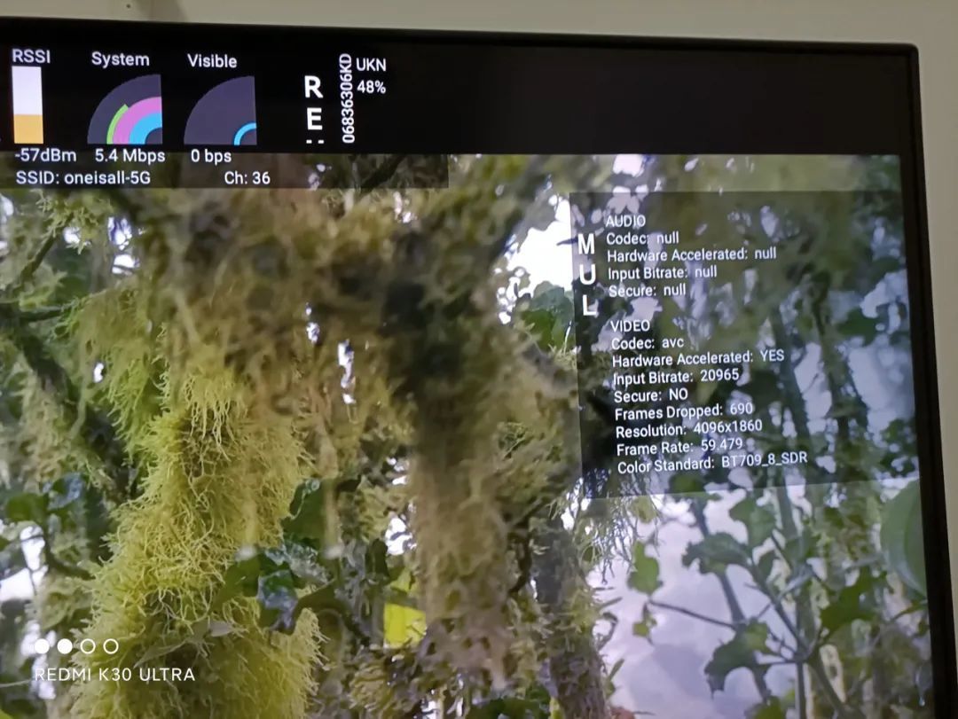 老被质疑虚标的 HDR 画质,这次 B 站来真的了