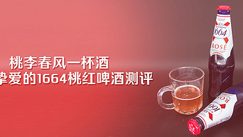 桃李春风一杯酒！女神挚爱的1664桃红啤酒测评！