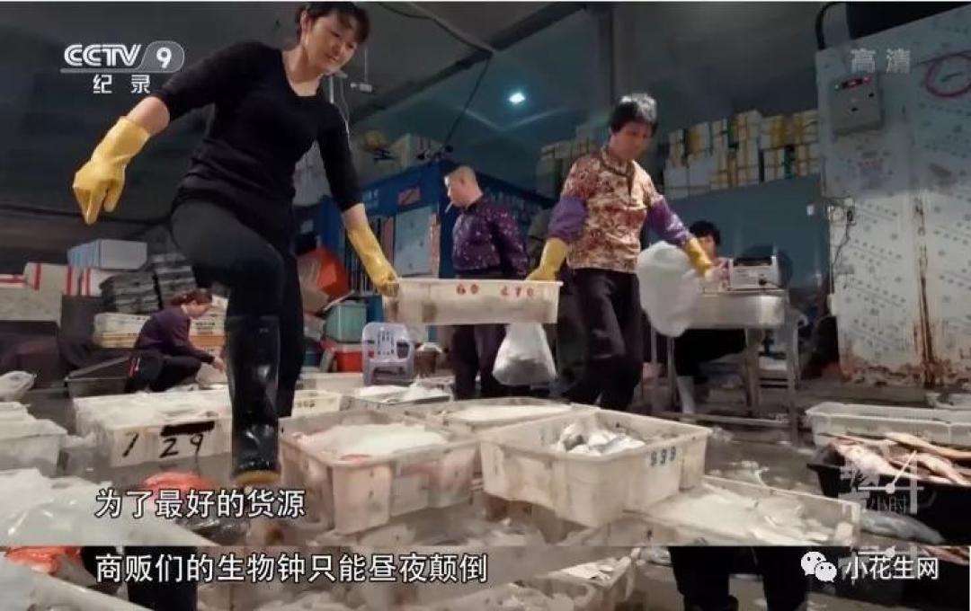 堪比BBC!这7部2020年国产记录片给孩子讲“中国故事”,好有情、好原汁原味!(附观看链接)