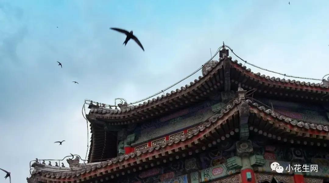 堪比BBC!这7部2020年国产记录片给孩子讲“中国故事”,好有情、好原汁原味!(附观看链接)