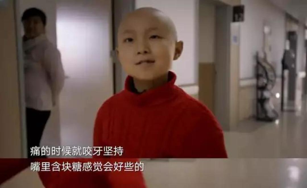 堪比BBC!这7部2020年国产记录片给孩子讲“中国故事”,好有情、好原汁原味!(附观看链接)