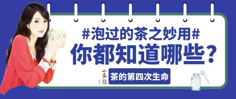 保质期？保鲜期！变质？5种挽救方法！“过期”的茶叶尚可品饮但变质绝不可