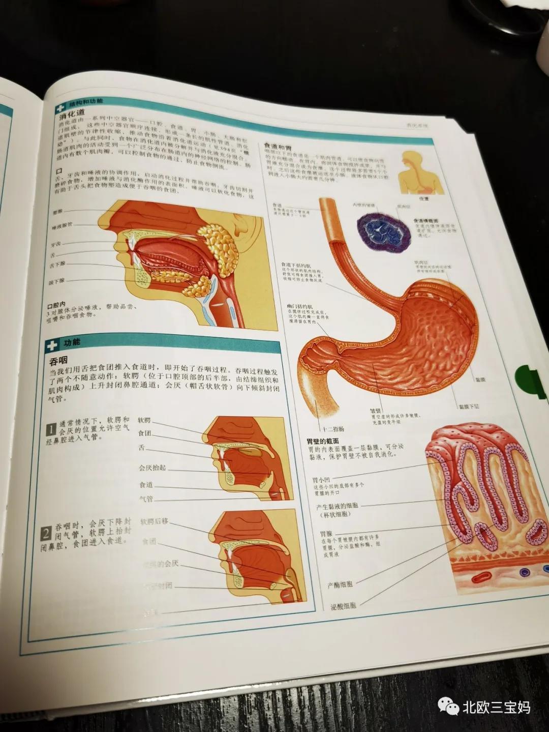 中国孩子不能喝冰水、吃凉食？！会伤消化系统啊？
