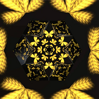UCCA Lab丨艺术×运动的万花筒，阿迪达斯冬季系列新品线上发布会