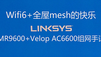 家庭网络折腾 篇一：Wifi6+全屋无线mesh的快乐：领势MR9600+Velop AC6600组网手记 
