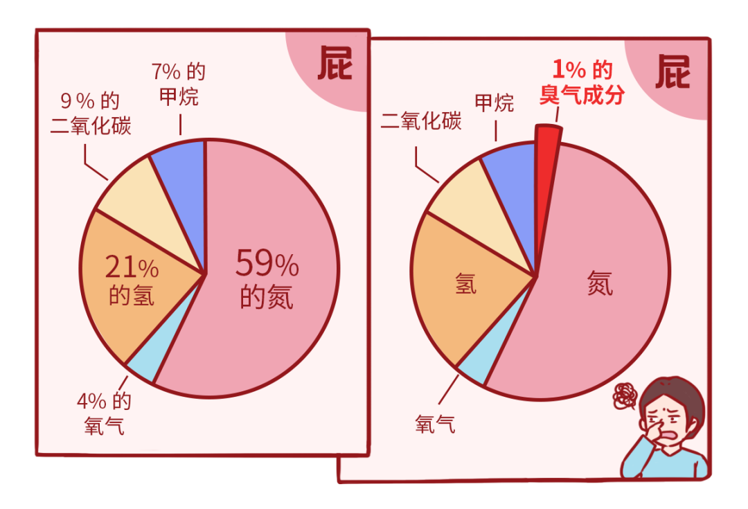 这是一篇有味道的干货科普：这些食物属于宇宙无敌的造屁特工队