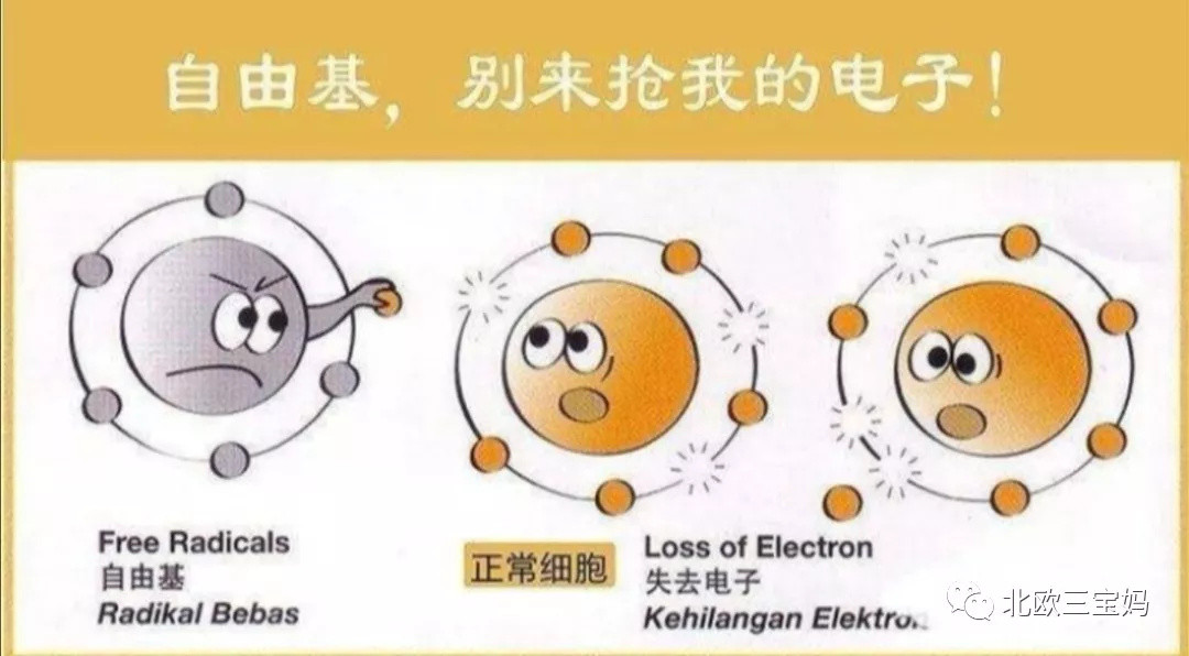 独家干货！我家践行了整整8年的“防癌食谱”，终于给大家整理好啦！