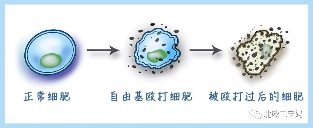 独家干货！我家践行了整整8年的“防癌食谱”，终于给大家整理好啦！