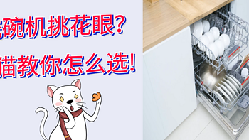 洗碗机篇：洗碗机挑花眼？宅猫教你怎么选！附超性价比13套-8套洗碗机推荐！