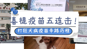 小值健康评测 篇六：喜提疫苗五连击，打狂犬病疫苗的辛路历程 