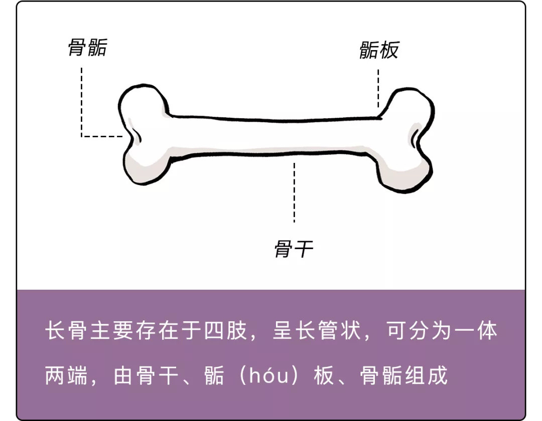 如何科学地增高？孩子身高的计算方法以及成长规律（18岁以上同样适用）