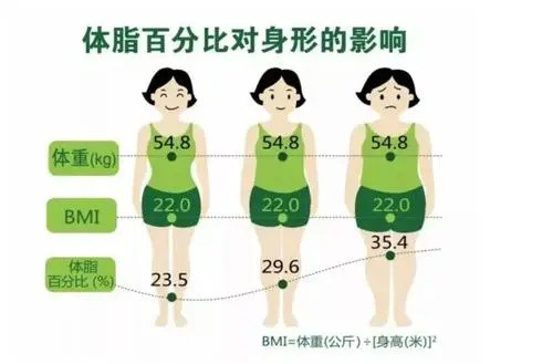 事实：有氧运动与力量训练结合进行是将体脂控制在理想水平的最好方法。