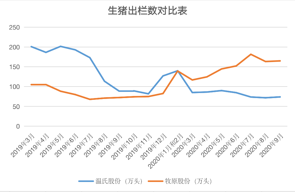 猪王争霸赛，A股前“猪王”如何输掉？