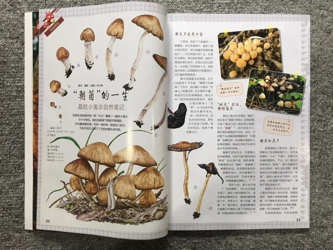 被催了2个月，7款热门科普期刊测评新鲜出炉，结果发现......