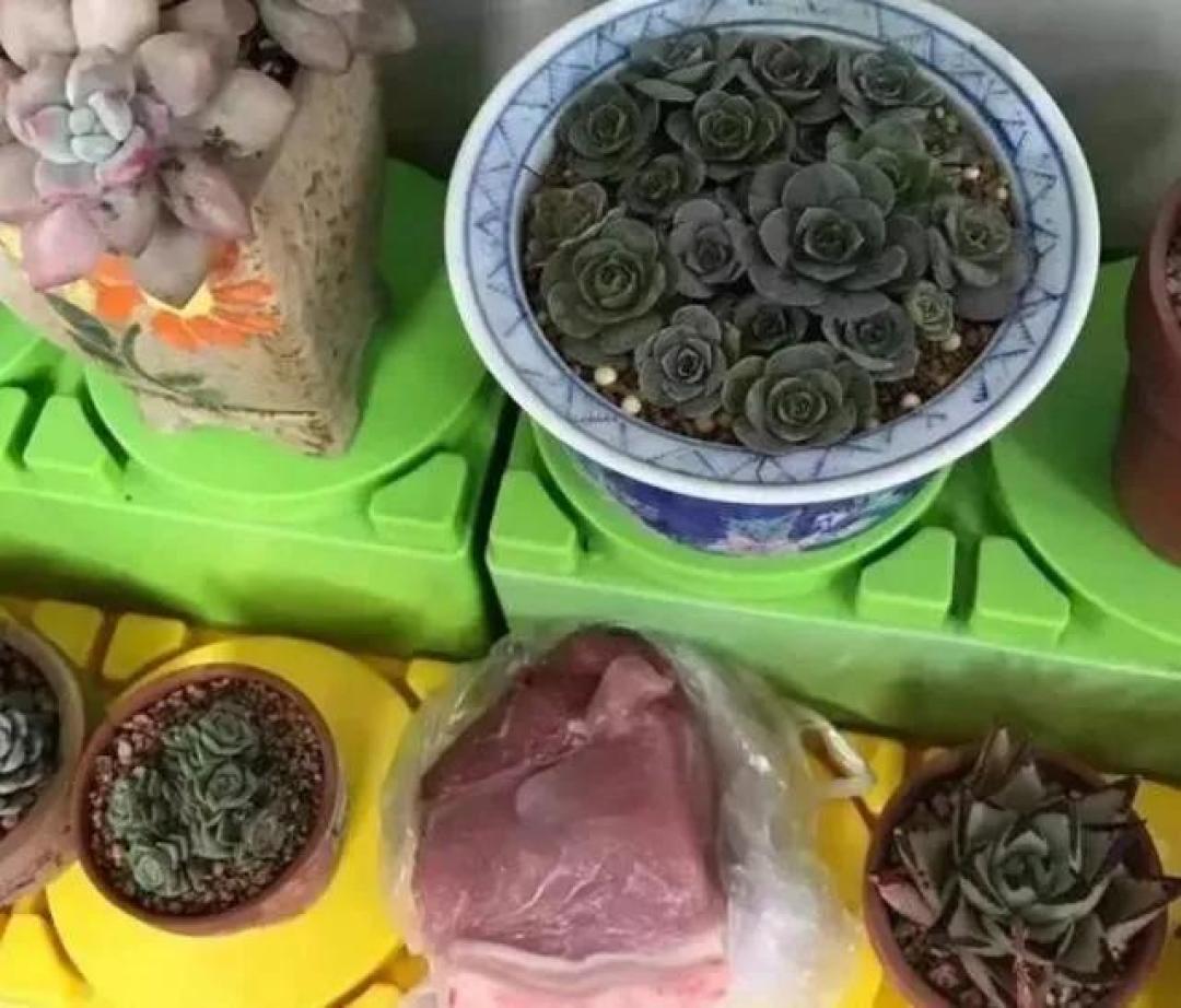 BBC超经典手工节目《Mister Maker 》你一定要收藏！