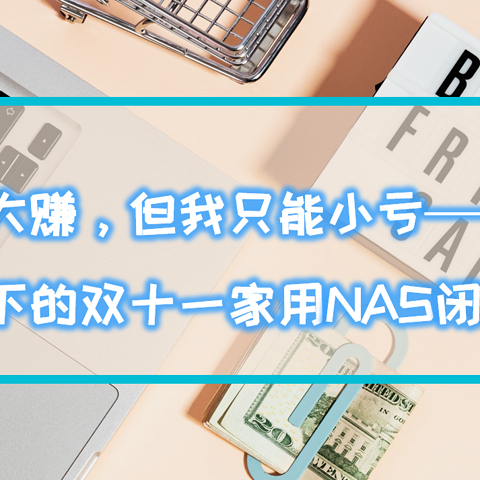 你也许大赚，但我只能小亏——垃圾佬的视角下的双十一家用NAS的选购指南（闭眼买推荐）