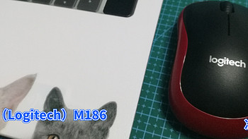 数码原动力 篇五十：便携无线鼠标的选择※罗技（Logitech）M186 简晒