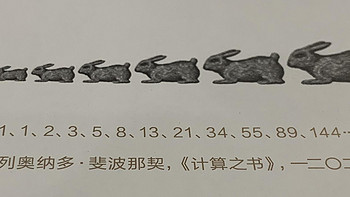图书馆猿の2020读书计划63：《兔子小史》