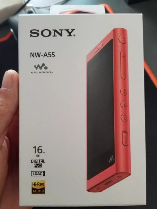 大法是一种信仰！Sony A55播放器