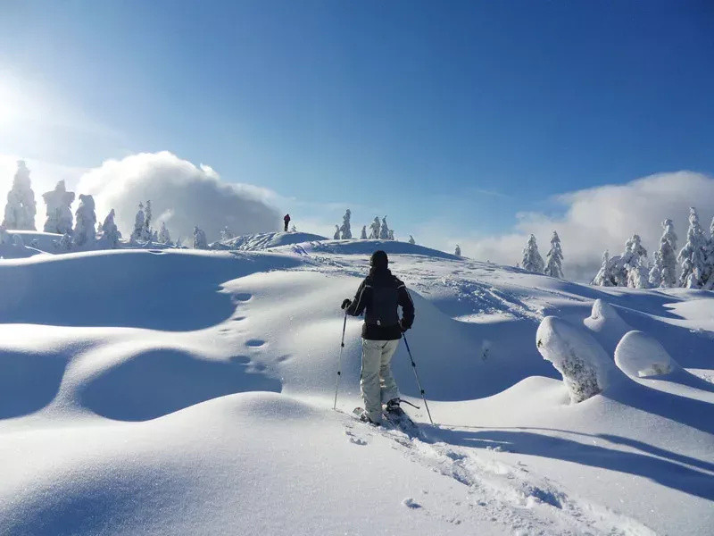 雪地里撒欢ta不香嘛，冬季户外这些事你要知道