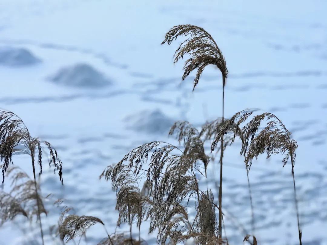 雪地里撒欢ta不香嘛，冬季户外这些事你要知道