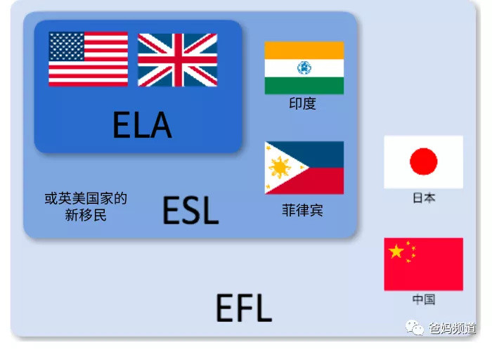 选择英语教材前 这些防坑干货 你需要先知道 少儿读物 什么值得买