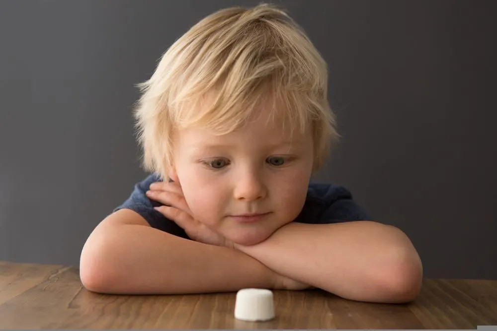 “棉花糖实验”的误读和真相：延迟满足真的和孩子的成功有关系吗？
